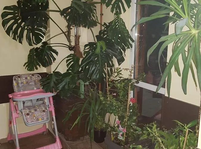 Accommodatie bij particulieren Goscinne Relaks Gdynia